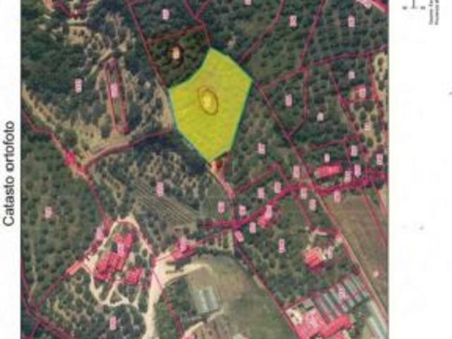 Terreno in vendita a Altavilla Silentina, Campania