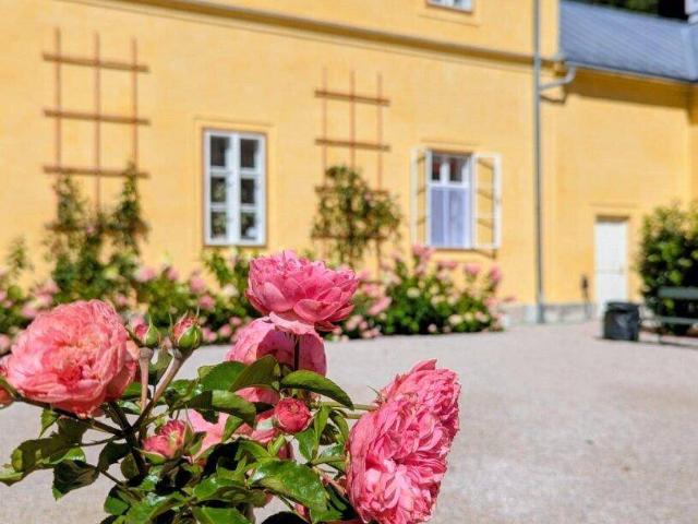 Apartment mieten in Roith, Ahorn