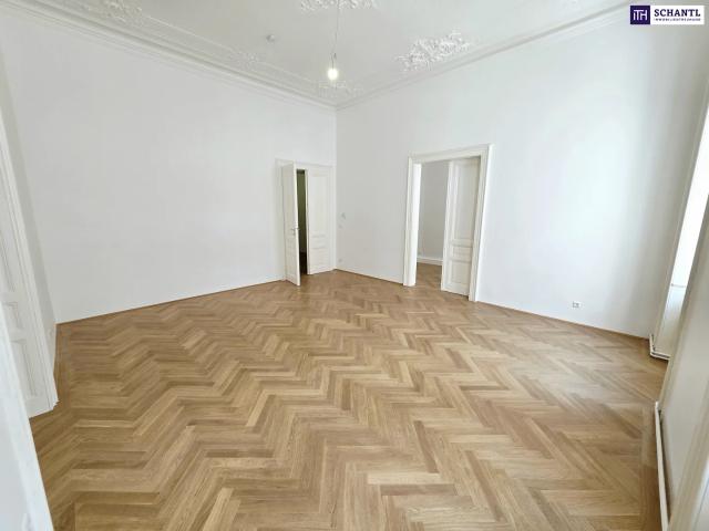 Apartment mieten in KG Alsergrund, Wien