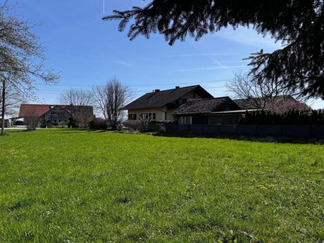 Grundstück kaufen in Frauental, Steiermark