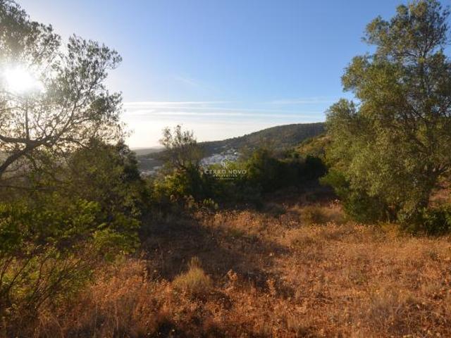 Terreno venda em Alte