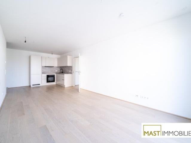 Dachgeschosswohnung mieten in Wien