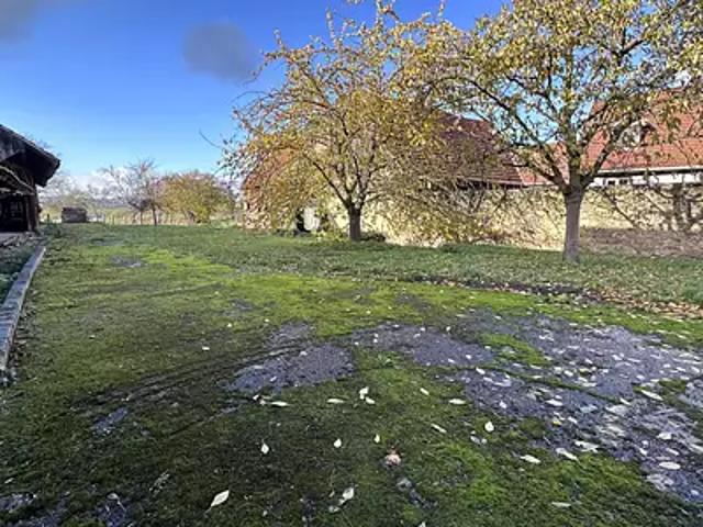 Terrain vente à Saverne, Altenheim