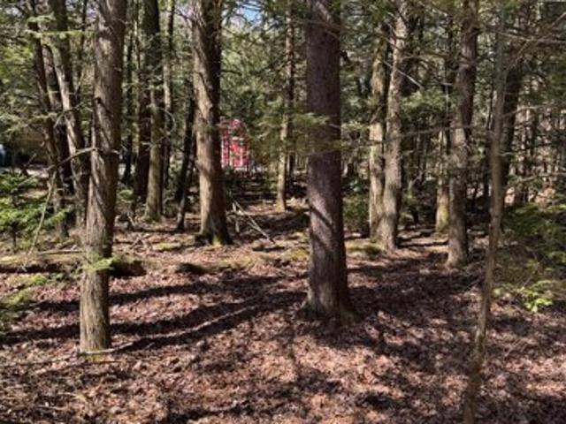 Land for sale in Pocono Summit Land for sale in Pocono Summit