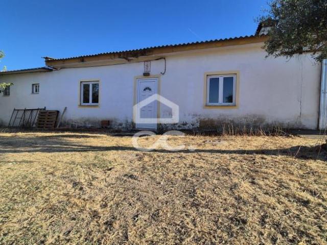 Terreno venda em Alter do Chão, Portalegre