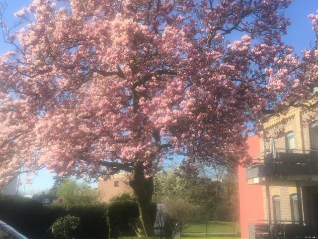 Wohnung kaufen in Kaarst, Nordrhein-Westfalen