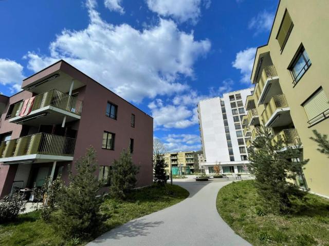Apartment mieten in Umiken, Brugg