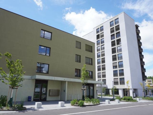 Apartment mieten in Brugg (AG), Aargau