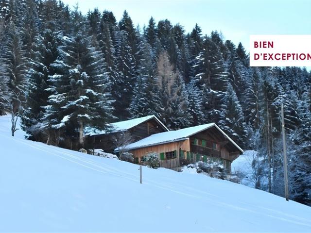 Haus kaufen in Château-d'Oex, Waadt