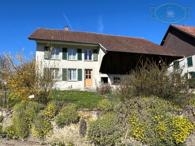 Reihenfamilienhaus kaufen in Vendlincourt, Jura