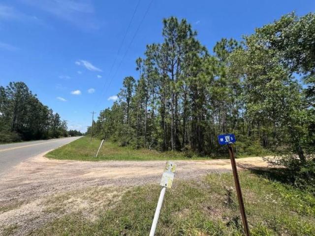 Land for sale in Altha