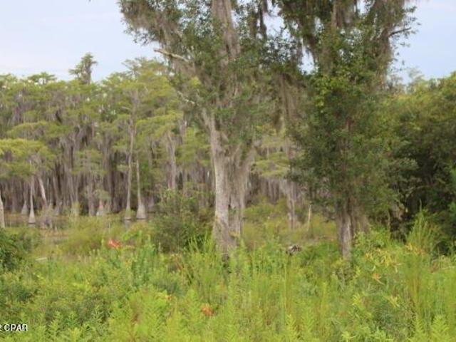 Land for sale in Altha