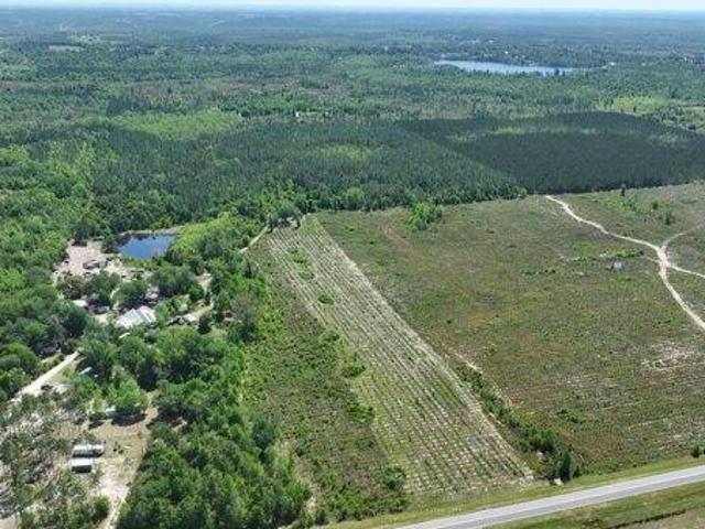 Land for sale in Altha