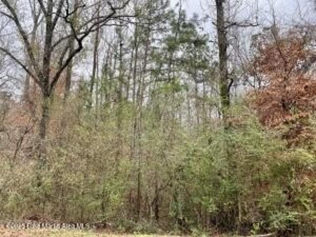 Land for sale in Alexander City