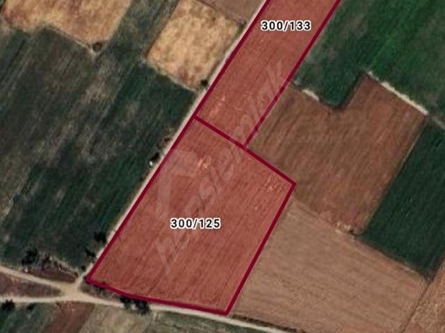 Şuhut içerisinde satılık Arsa