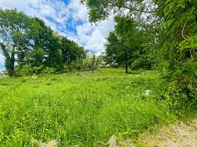 Terrain vente à Brive-la-Gaillarde, Altillac