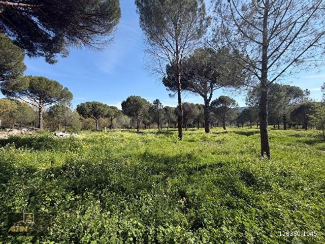 Ayvalik, Balikesir içerisinde satılık Arsa