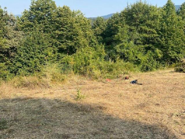 Karagözler, Bolu Merkez içerisinde satılık Arsa