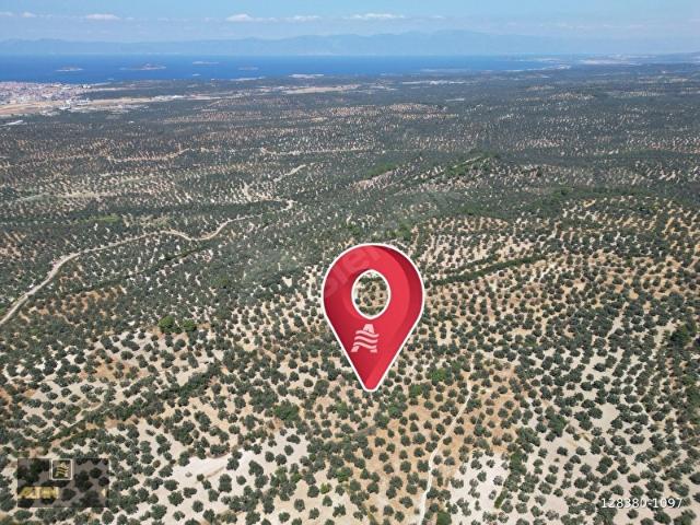 Ayvalik, Balikesir içerisinde satılık mülk