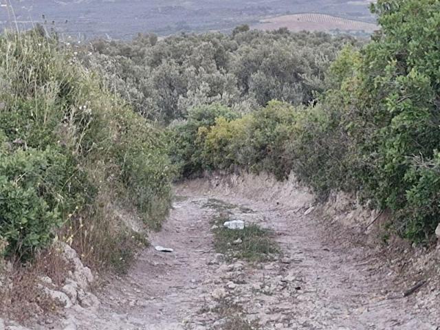 Ayvalik, Balikesir içerisinde satılık mülk