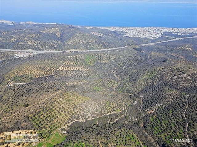 Burhaniye, Balikesir içerisinde satılık mülk
