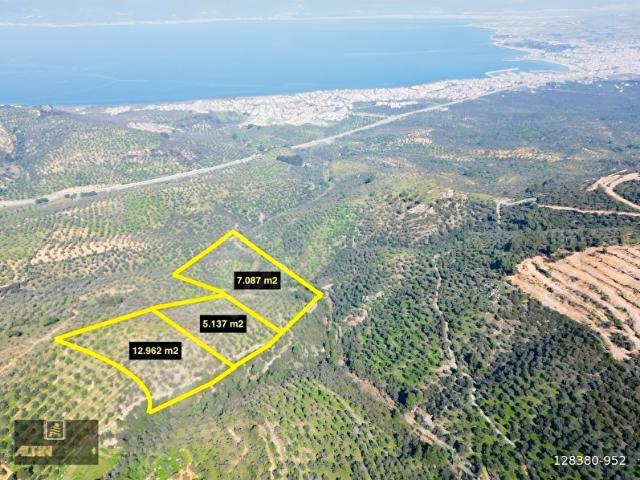 Burhaniye, Balikesir içerisinde satılık mülk