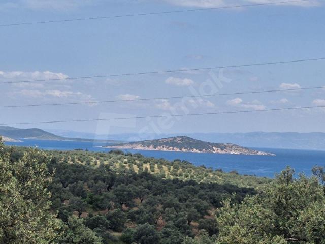 Gömeç, Balikesir içerisinde satılık mülk