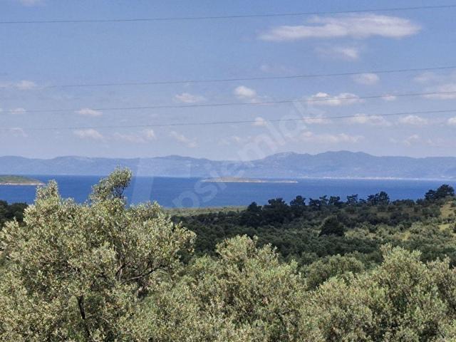 Gömeç, Balikesir içerisinde satılık mülk