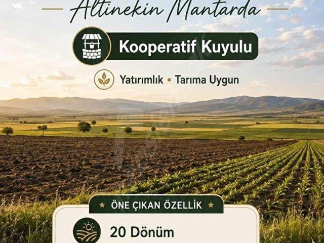 Altinekin, Konya içerisinde satılık Arsa