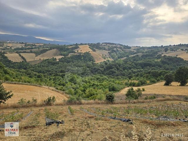 Karadere, Altınova içerisinde satılık Arsa