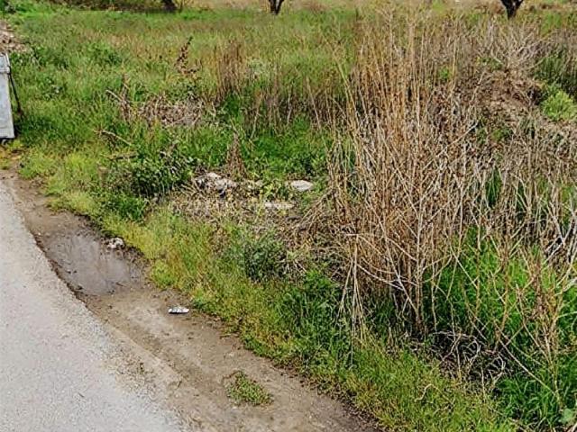 Yalova içerisinde satılık Arsa