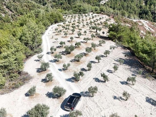 Altinözü, Hatay içerisinde satılık Arsa