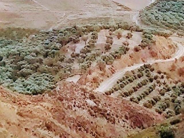Altinözü, Hatay içerisinde satılık Arsa