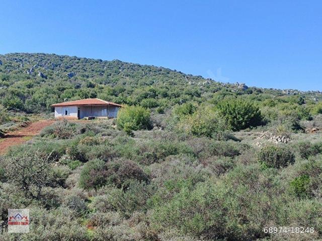 Altinözü, Hatay içerisinde satılık Arsa