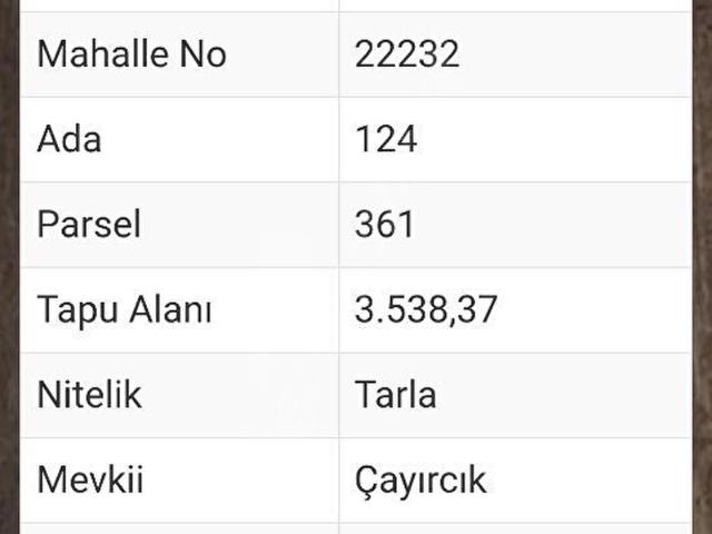 Sevdiğin, Altıntaş içerisinde satılık Arsa