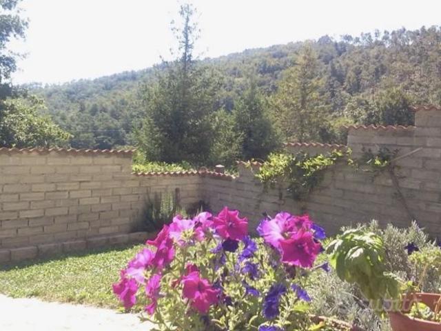 Appartamento in affitto a Piglio, Lazio