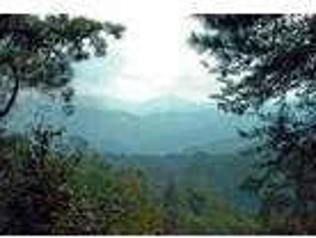 House for rent in Tennessee