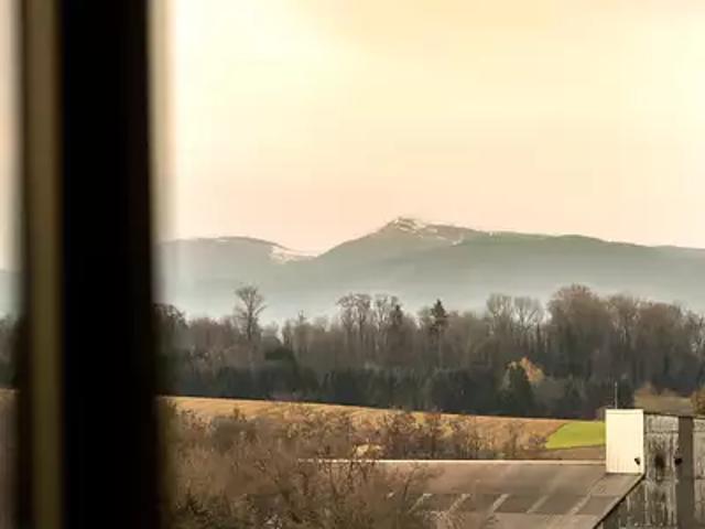 Appartement vente à Altkirch