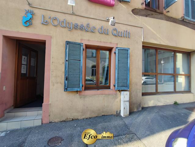 Local Commercial vente à Altkirch