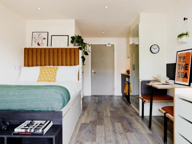 Studio for rent in Hollingdean, Brighton & Hove