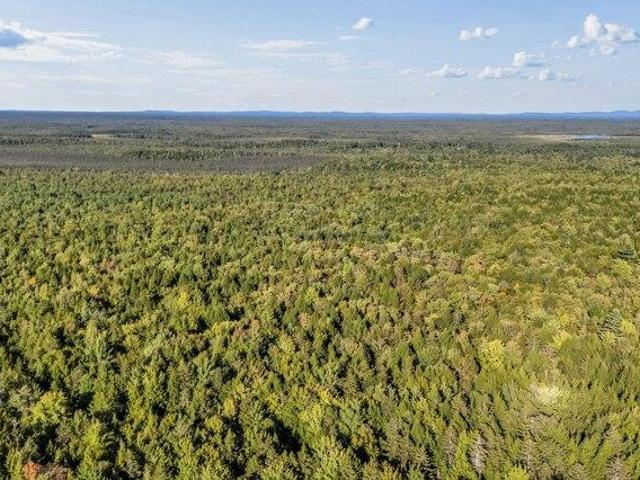 Land for sale in Maine