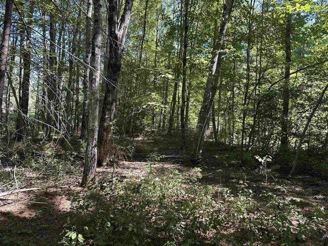 Land for sale in New Hampshire