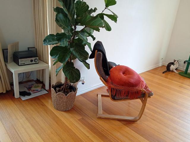 Room for rent in Camerons Creek, Victoria