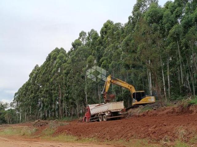 Terreno venda em Região Geográfica Imediata de Montenegro, Região Metropolitana de Porto Alegre