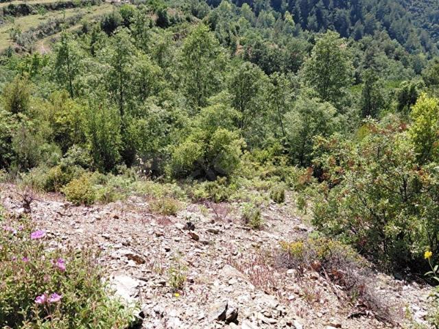 Vilayet, Anamur içerisinde satılık Arsa