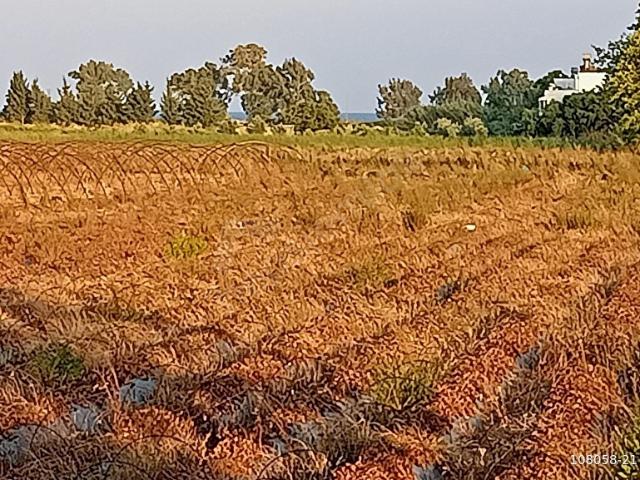 Anamur, Mersin içerisinde satılık Arsa