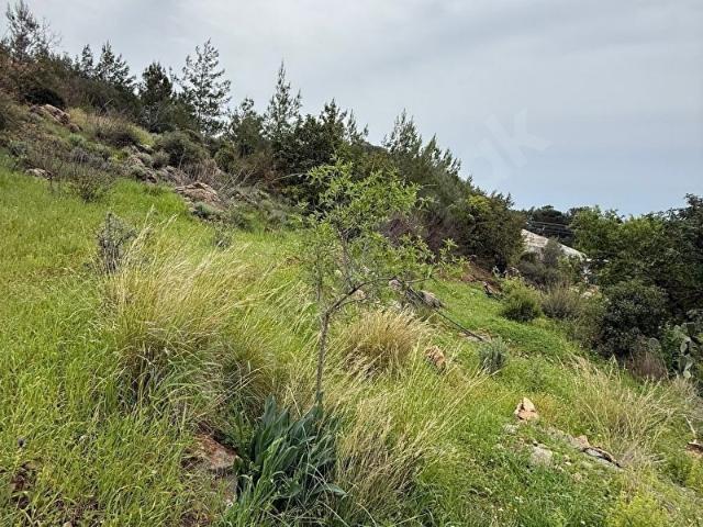 Anamur, Mersin içerisinde satılık Arsa