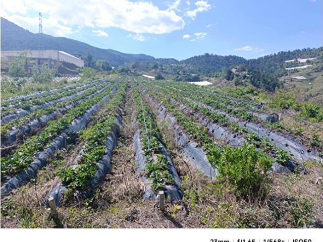 Anamur, Mersin içerisinde satılık Arsa
