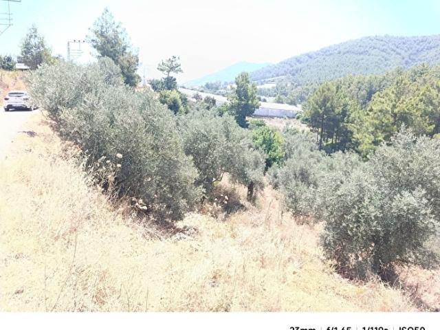 Anamur, Mersin içerisinde satılık Arsa