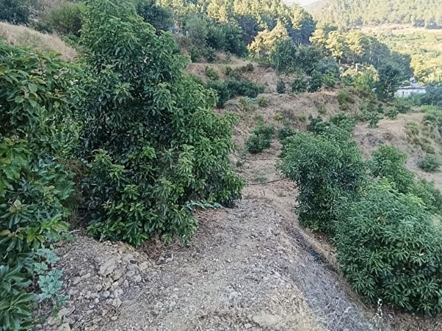 Anamur, Mersin içerisinde satılık Arsa